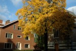 B&B De Kapel