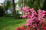 Willow Lodge